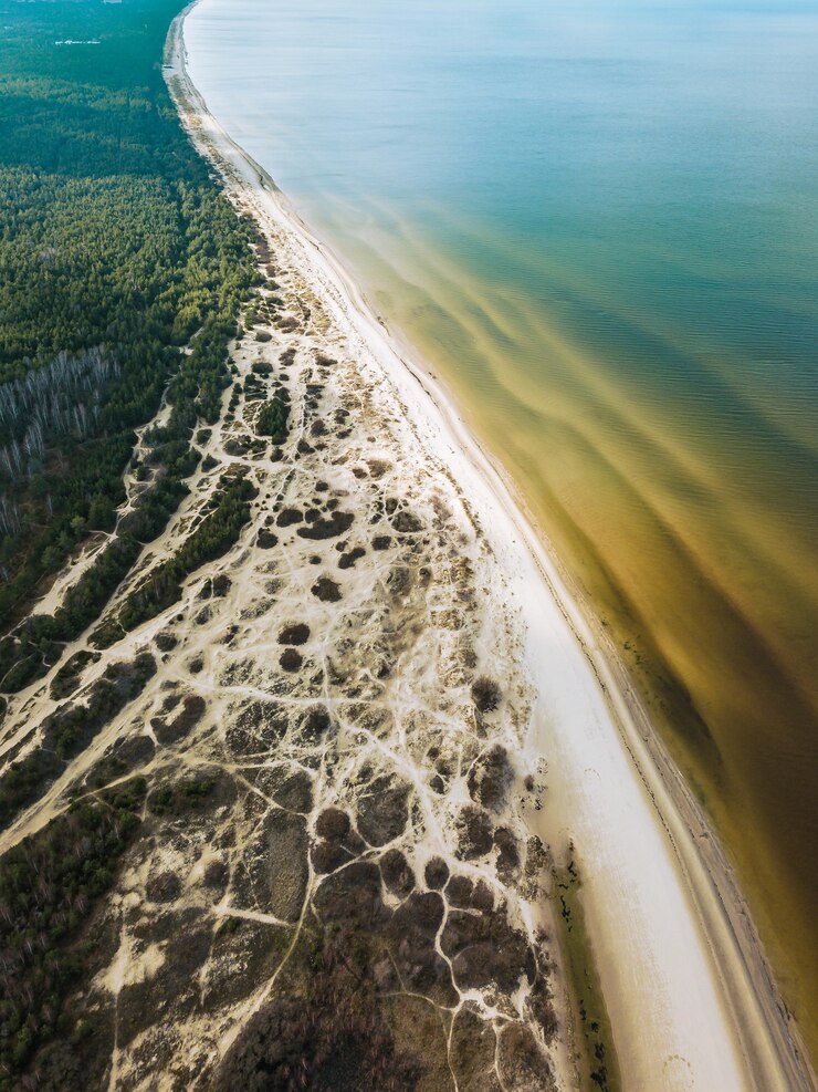 An aerial view of a beach with sand and water.