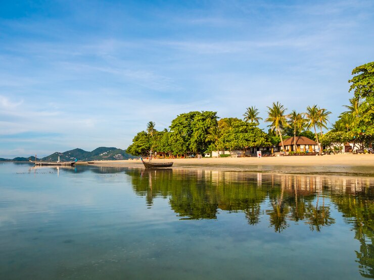 A beach with palm trees and a boat reflected in the water.